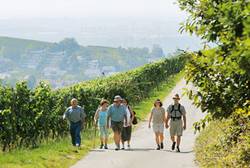 Quelle: Stadt Offenburg